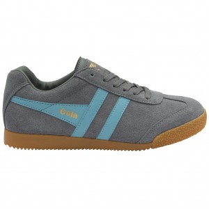 Gola Classics Harrier Suede Sneakers Ash Ocean España | RVF-826953