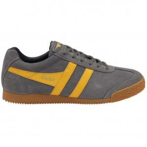 Gola Classics Harrier Suede Sneakers Azul Marino España | QAK-209653
