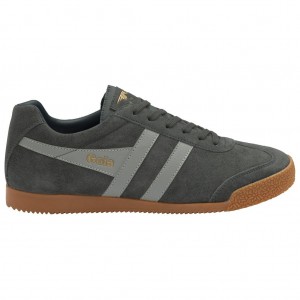Gola Classics Harrier Suede Sneakers Gris Claro Azul Marino España | RHT-361254