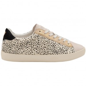 Gola Classics Nova Oasis Sneakers Blancas España | TVM-481620