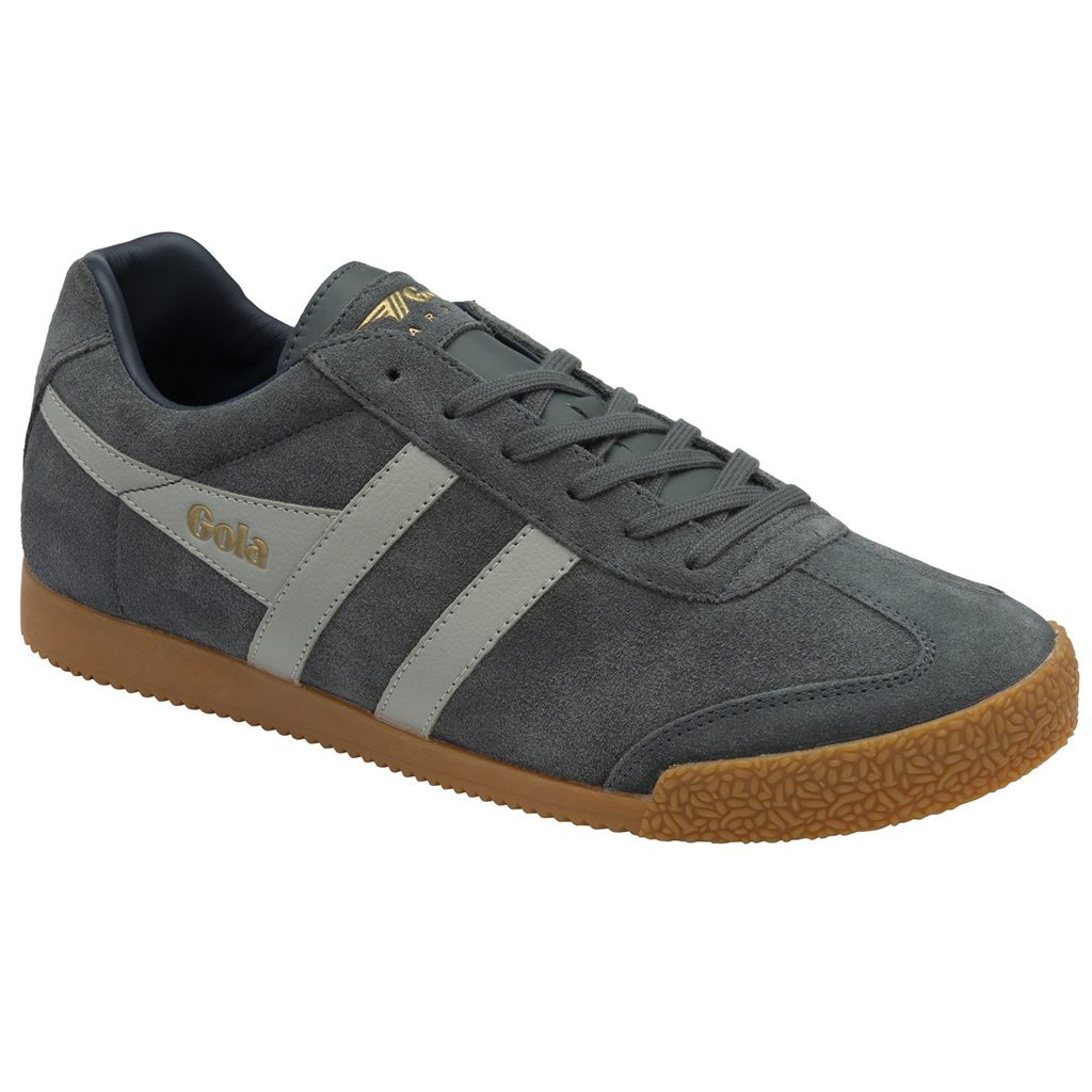 Gola Classics Harrier Suede Sneakers Gris Claro Azul Marino España | RHT-361254